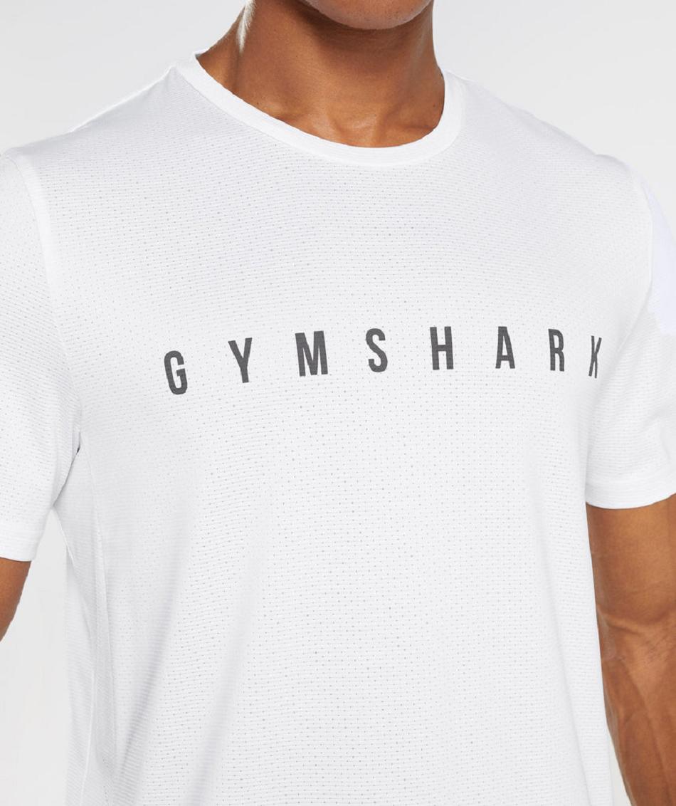 T Shirts Gymshark Deporte Stripe Hombre Blancas | CO 3446WNB